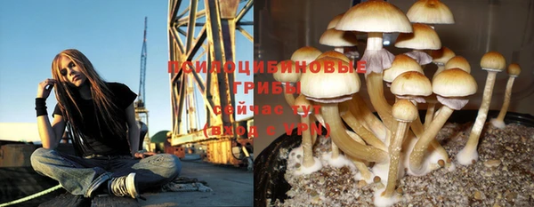 бутират Волосово