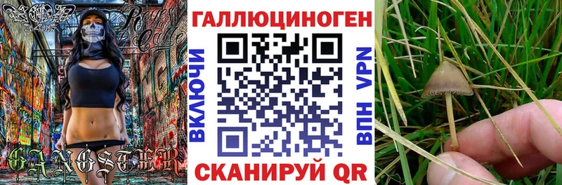 Псилоцибиновые грибы мухоморы  Альметьевск 