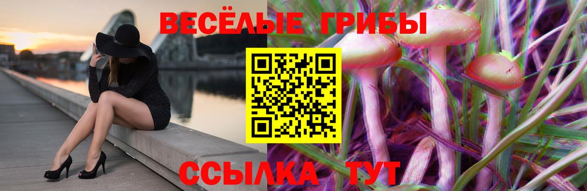 Галлюциногенные грибы мухоморы  Вход с VPN  Альметьевск 