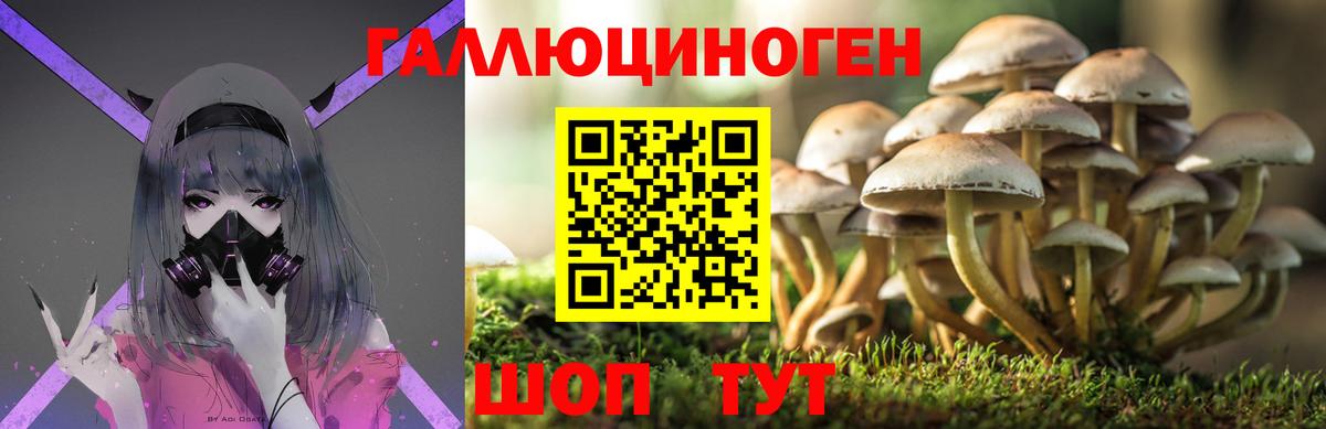 Галлюциногенные грибы Psilocybine cubensis Альметьевск